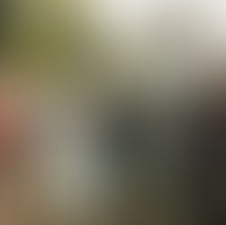 Thomas +Cheryl : un reportage mariage à l'argentique