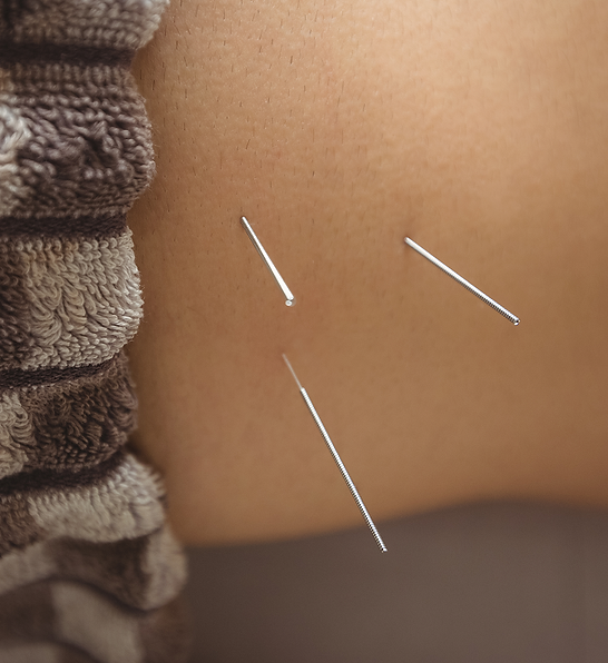 massage-therapy-group-training-class 1 (1).png