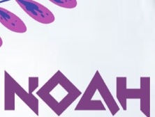 Thumbnail: Clínica Noah