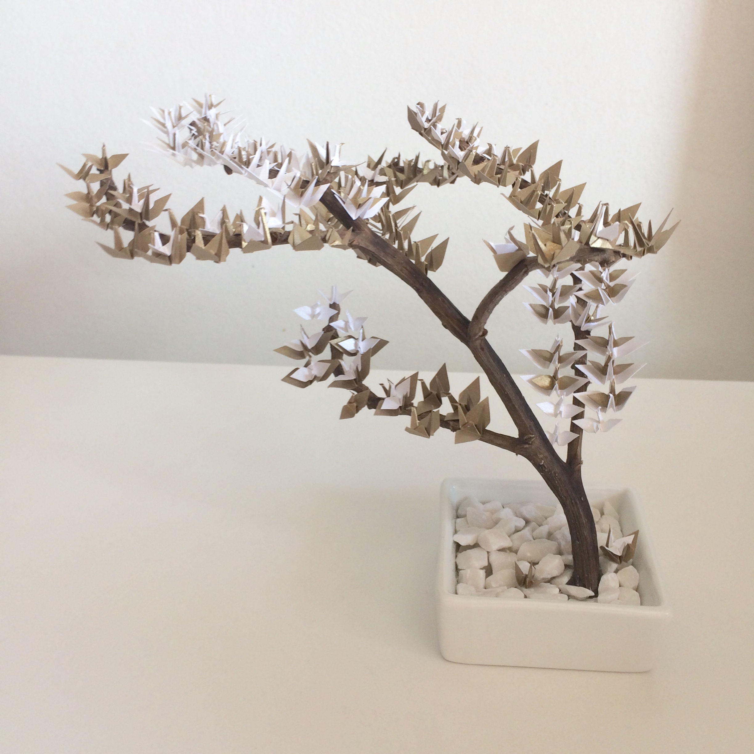 Embalaiô - Bonsai
  da Gratidão
