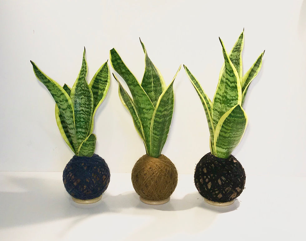 Nufiu jardinagem