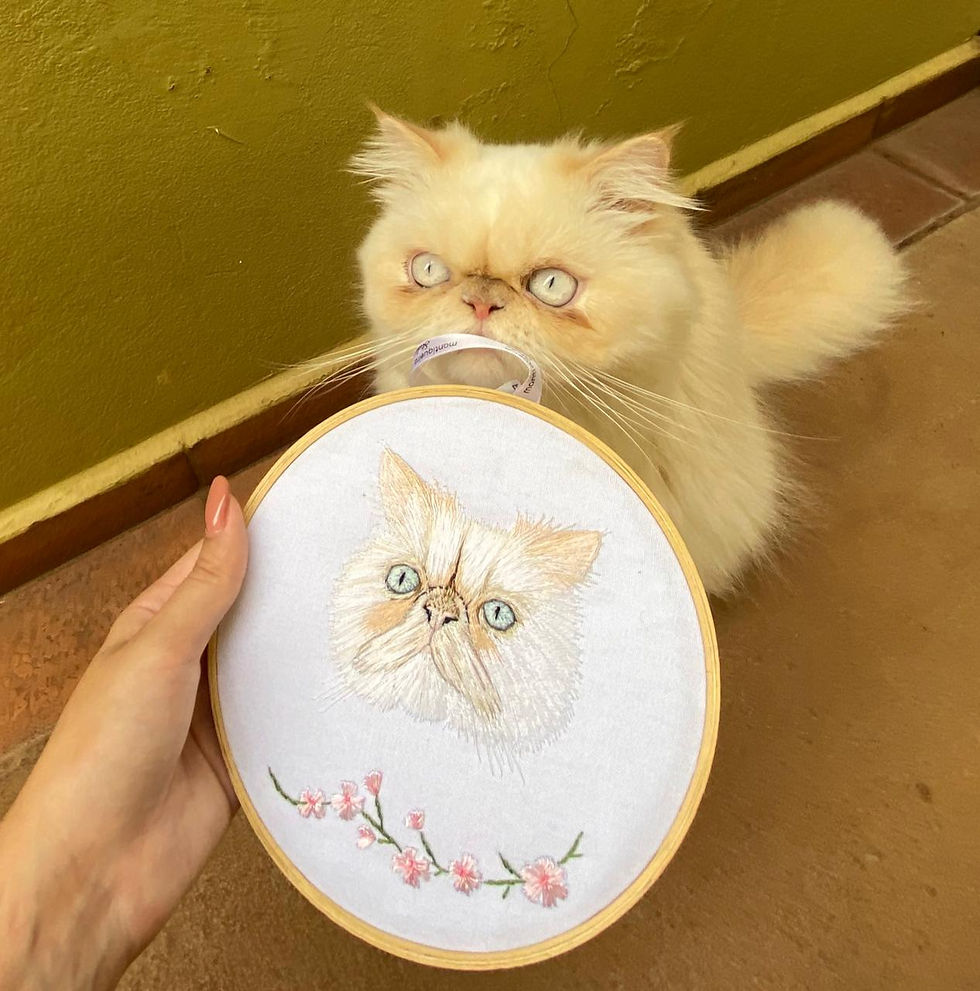 Thumbnail: Mantiqueira
  Studio