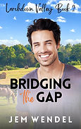 Bridging the Gap