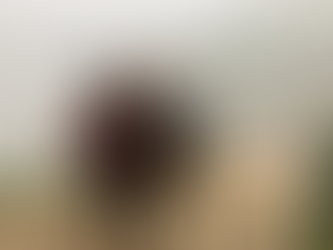 Yellow Car. Lobby - E-5. 30 minute. Driver is coming.