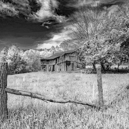 Photographer Bob Bell