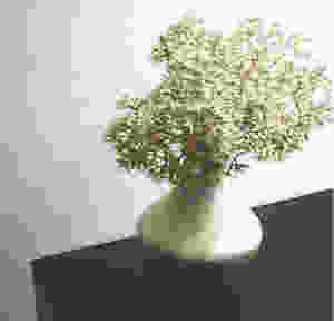 "Tiny Flowers" was shot in 1990 in my Greenwich Village apartment with the only available light from a nearby lamp.