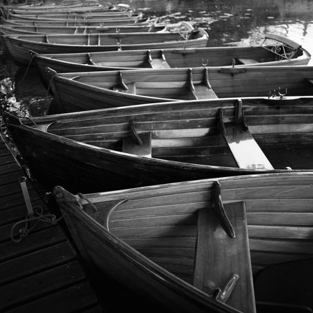 Photographer Paul Cooklin