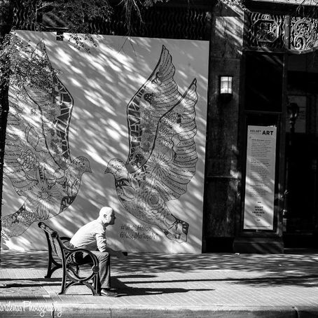 Photographer Marla R Cardenas