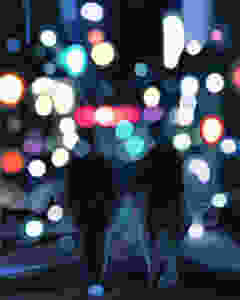 NOCTURNE №12 / GET TOGETHER. Acrylic on canvas, 48" x 36".