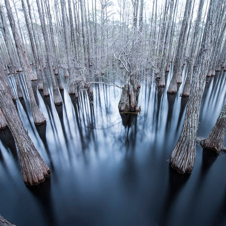 Photographer Garret Suhrie