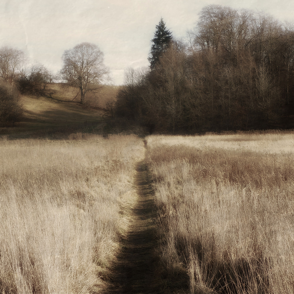 There is a way by Michael Nguyen