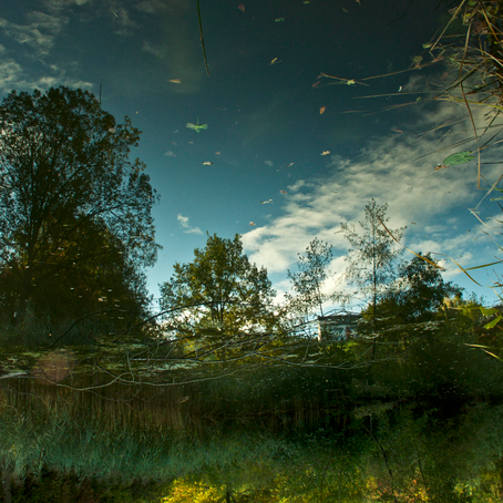 Photographer A.U. "Dan" Daniels