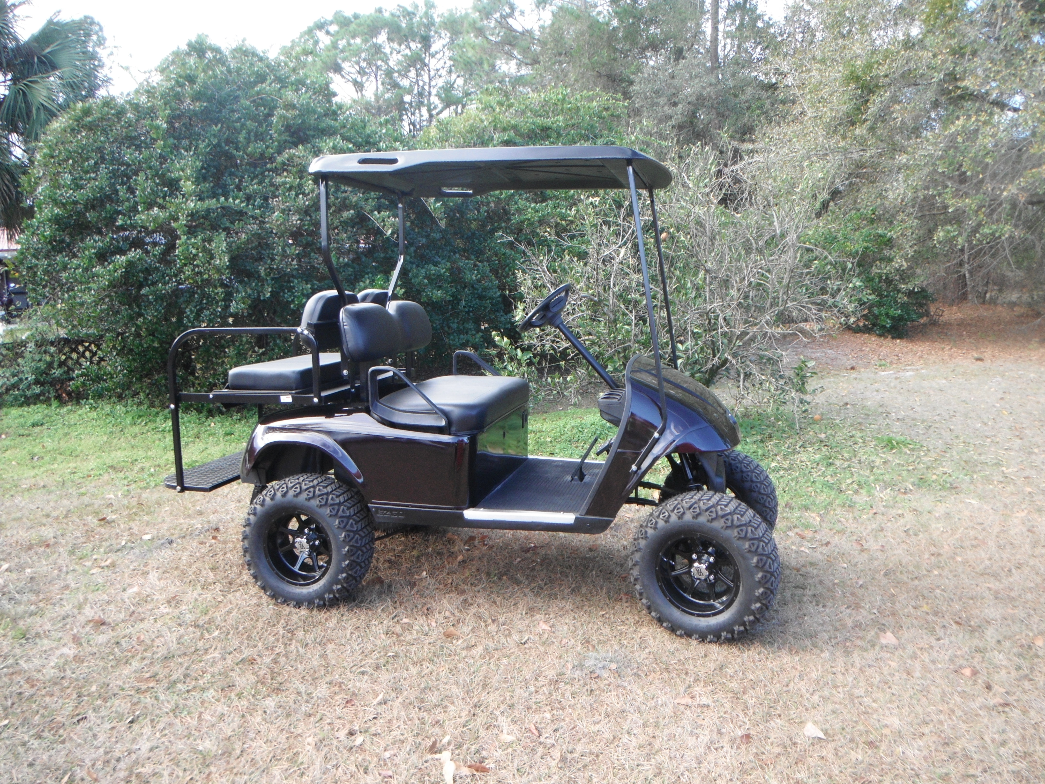 Gallery of Customized Golf Carts