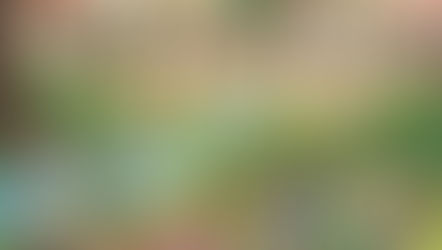 ఆనందమయ జీవితం