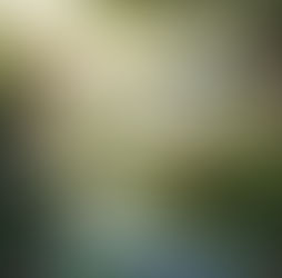 అమ్మా! నేను ప్రకృతి ఒడిలో