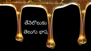 మాతృ భాష