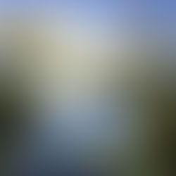 “చిత్తడి నేలలు – ప్రకృతికి జీవనాధారం, మన భవిష్యత్తుకు బలమైన పునాది.”