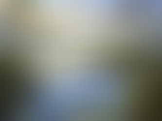 “చిత్తడి నేలలు – ప్రకృతికి జీవనాధారం, మన భవిష్యత్తుకు బలమైన పునాది.”