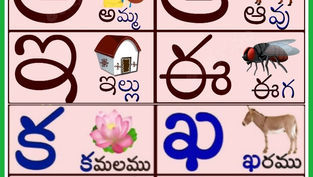 తెలుగు పదాలు