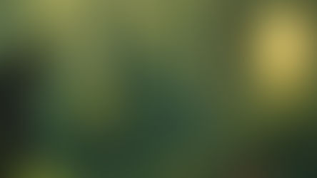 పశ్చాతాపం