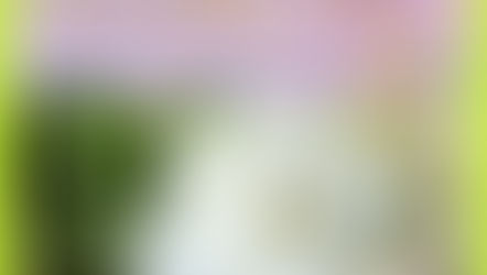 సిరిమల్లె 