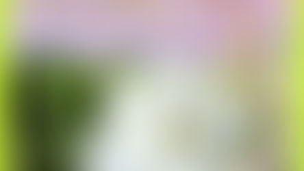 సిరిమల్లె 