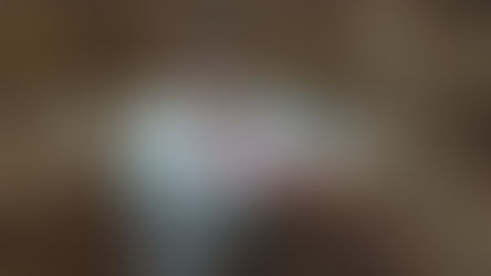 అల్విదా