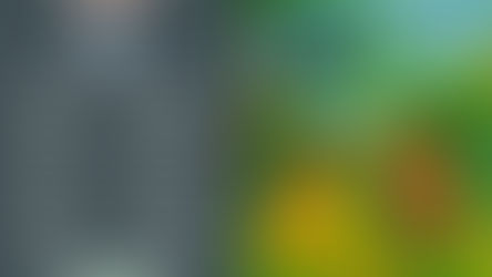 కాంతి కిరణాలు - పుస్తకావిష్కరణ