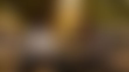 కళాశాల రోజుల్లో వేపచెట్టు కింద జీవితాంతం స్నేహితులుగా ఉంటామని మాట ఇస్తున్న రాఘవ, శేఖర్.