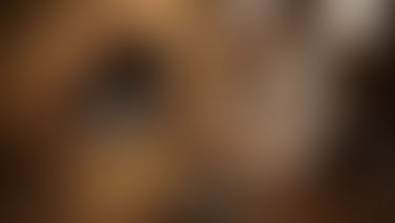 పాత ఇంట్లో దాగిన భయంకర రహస్యం