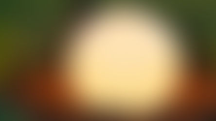 మేడిపల్లి మేజిక్