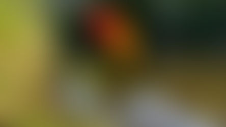 చిన్న ప్రపంచం