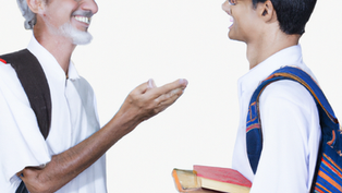 పెరటి చెట్టుపై వాలిన పక్షి