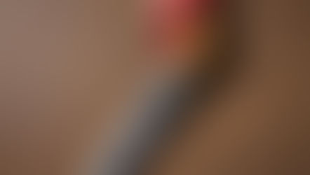 కోడికత్తి పోయింది