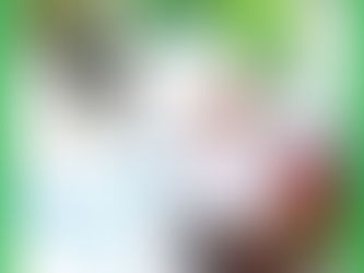 పక్షుల పాఠాలు