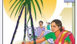 సంక్రాంతి పండుగ