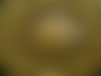 బురదానంద స్వామి కథ