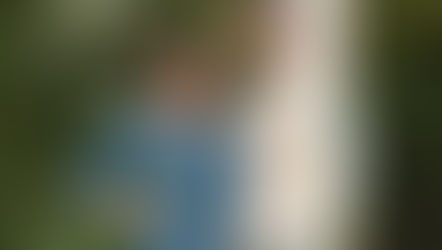 అల్లుకున్న బంధాలు