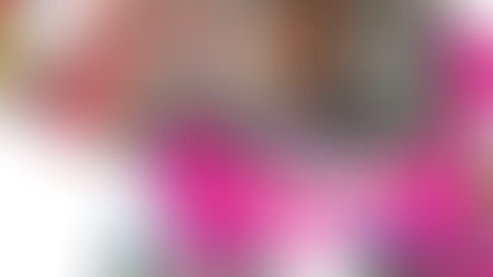 ఏనుగు ఎప్పుడూ వెయ్యే