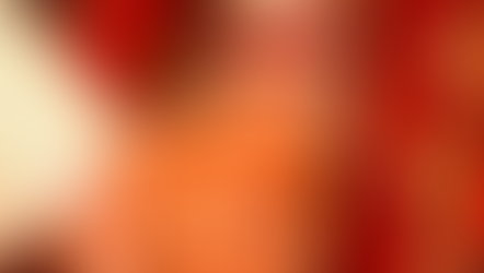 పాణిగ్రహణం - 3