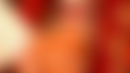 పాణిగ్రహణం - 3