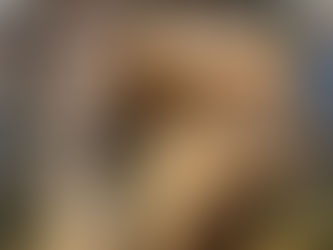 కట్టె వంపు పొయ్యి తీరుస్తుంది