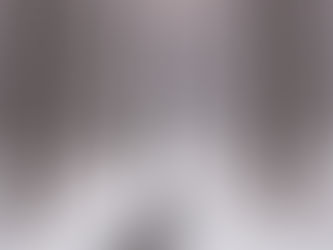 స్టాపింగ్ బై వుడ్స్ ఆన్ ఎ స్నోయీ ఈవెనింగ్