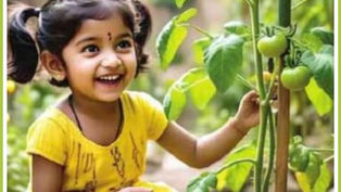 నాటుదాం! మొక్కలను