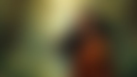 కేస్ నెం 37 బి - పార్ట్ 4