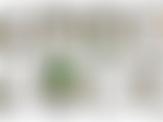 సెంటిమెంట్