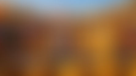 బంగారం కాదు… బెల్లమే భక్తి