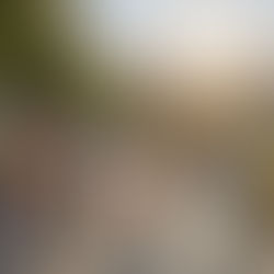 morning community life people walking children school telugu story