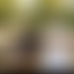 కలలు వయసుతో ఆగిపోవు
