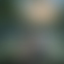 పద్మినీ పరిణయం